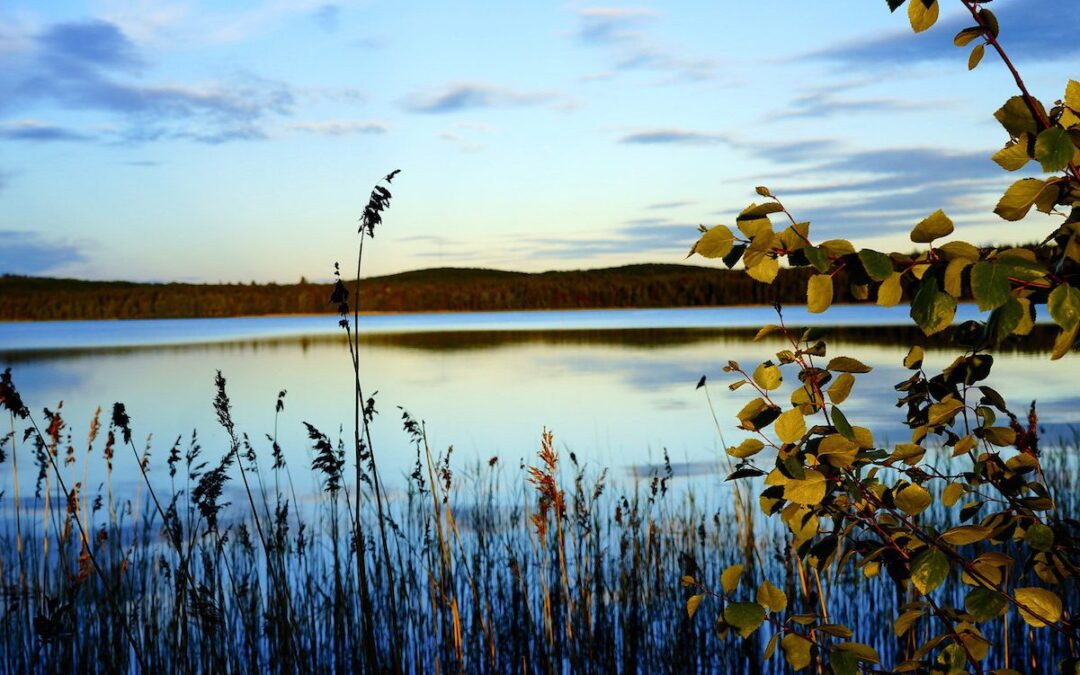 Nature is your best teacher