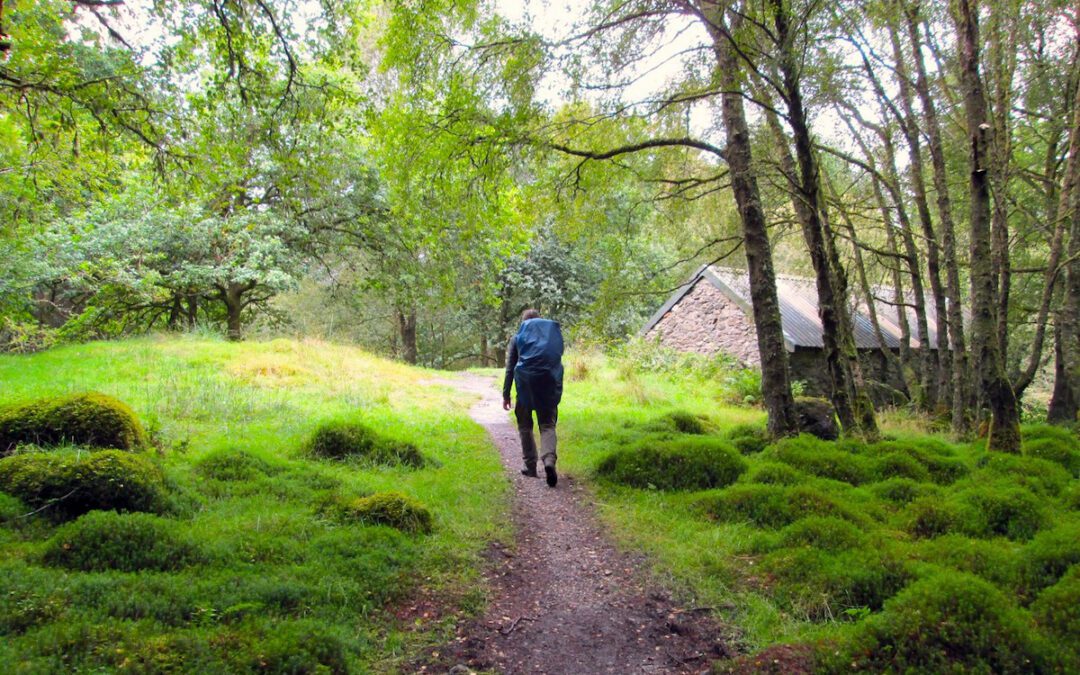 Friends are everywhere