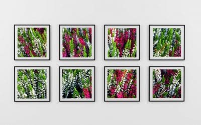 Name your images right