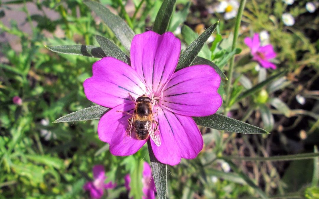 Listen to your heart