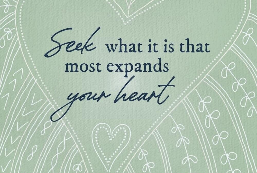 Seek