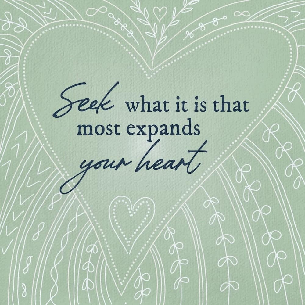 Seek