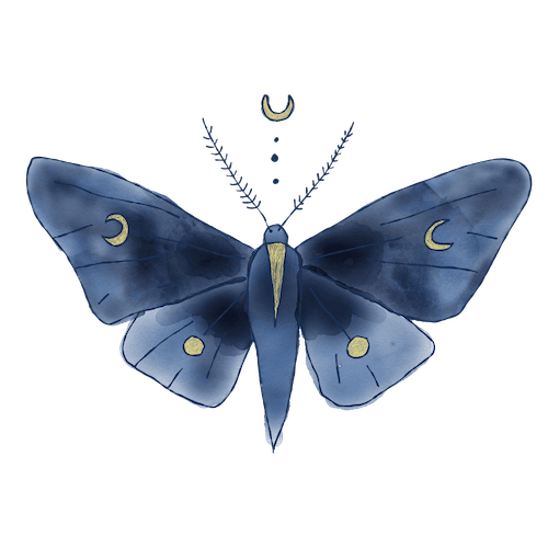 Moth