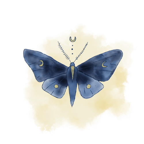 Moth